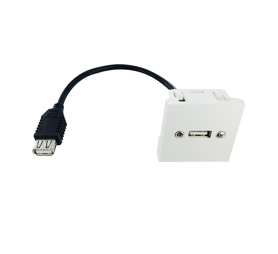Plastron 45x45 USB2.0 A F vers F - 0.20m - NPR