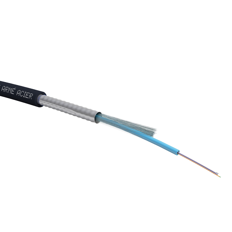 HSD - Câble structure libre 250µm 24 brins - OM4 - Armé acier - PE