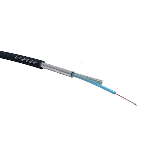 ACOME - B1177A - 24xOM4 LIBRE EXT PE ARM ACOLAN No