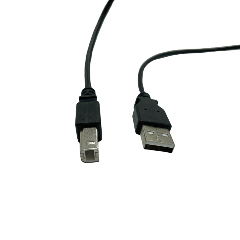Dexlan Cordon High Speed USB 2.0 Type AB M/M Noir 3 M