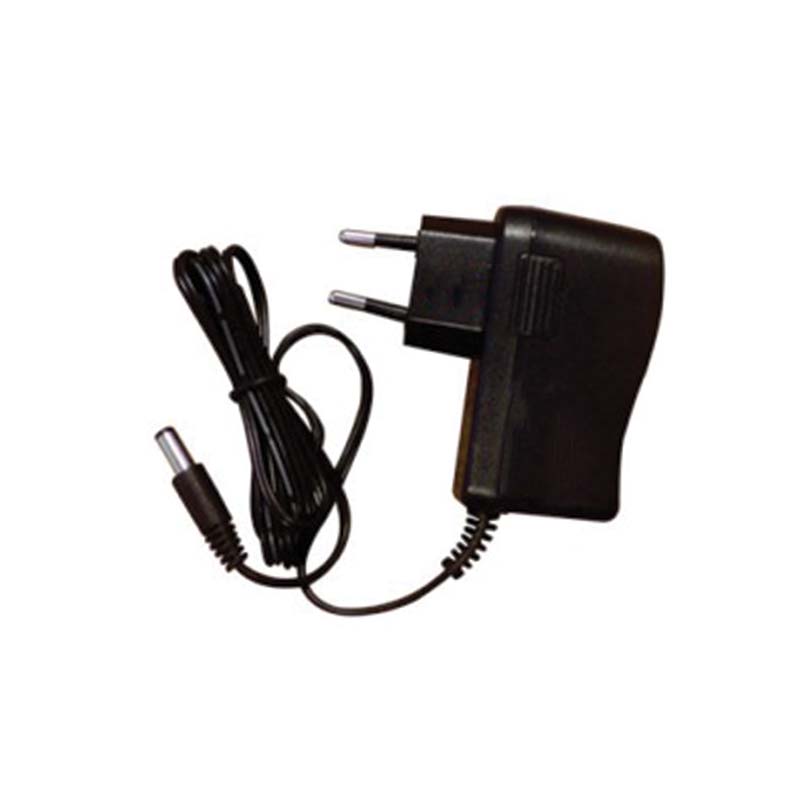 Chargeur prise murale pour caméra 12V 1A