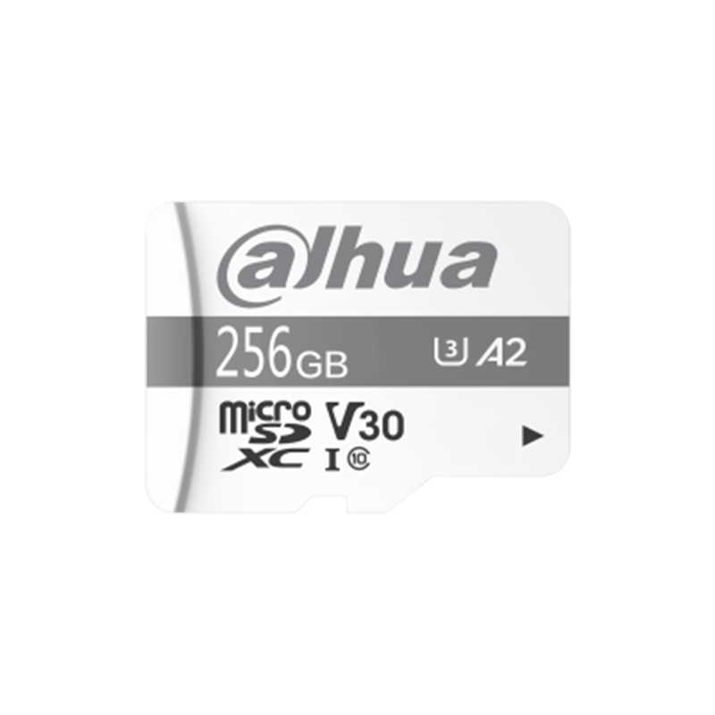 DAHUA - TF-P100/256GB - Carte mémoire MicroSD 256Go