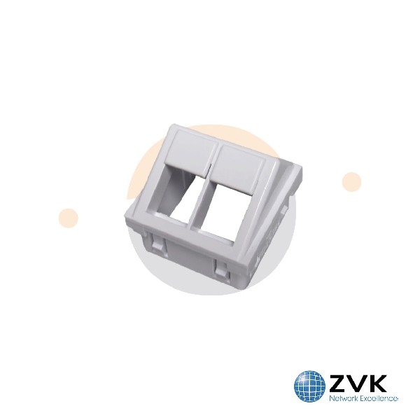 RJ plastron 45x45 mm- double - 60° RAL 9010- Lot de 1 EOL