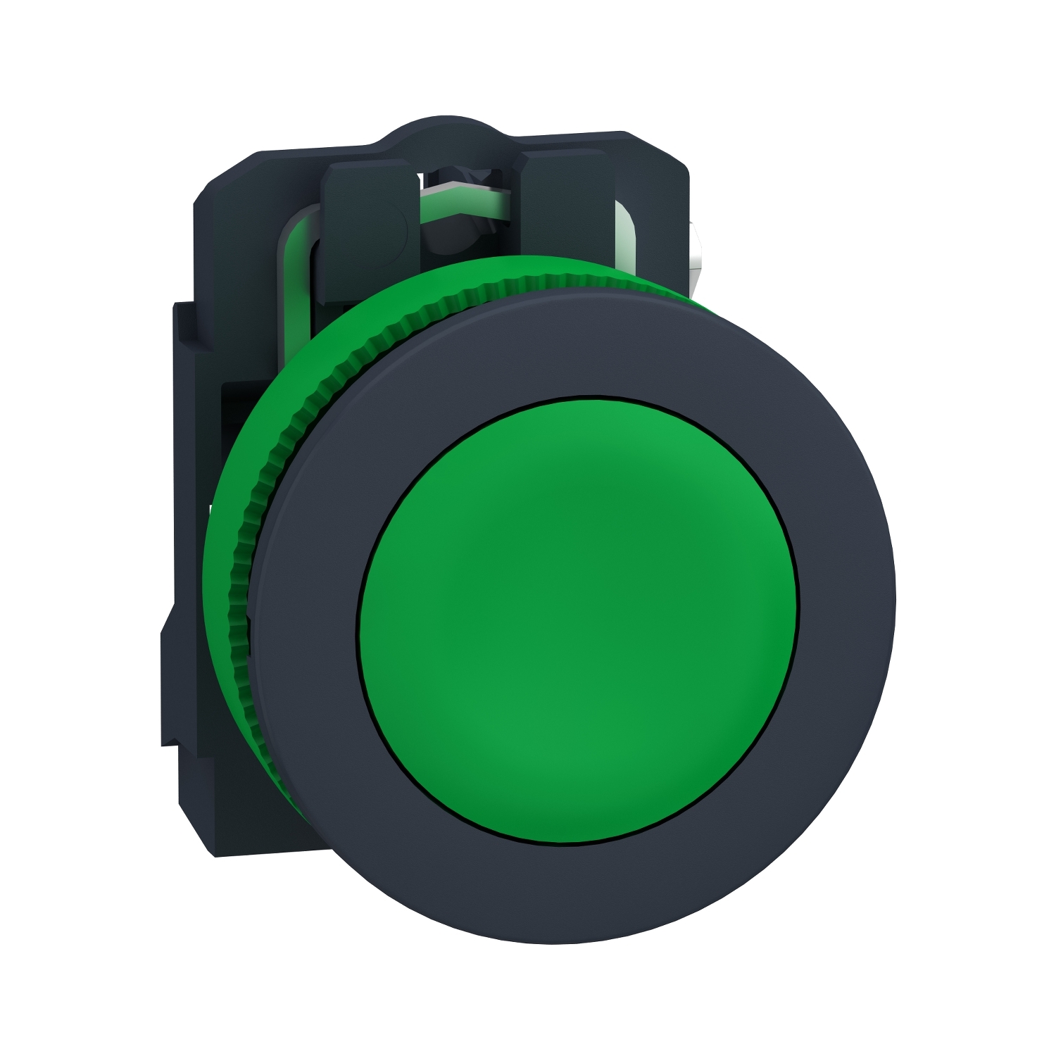 Harmony XB5 - bouton poussoir à impulsion -flush-vert-1F - vis étrier