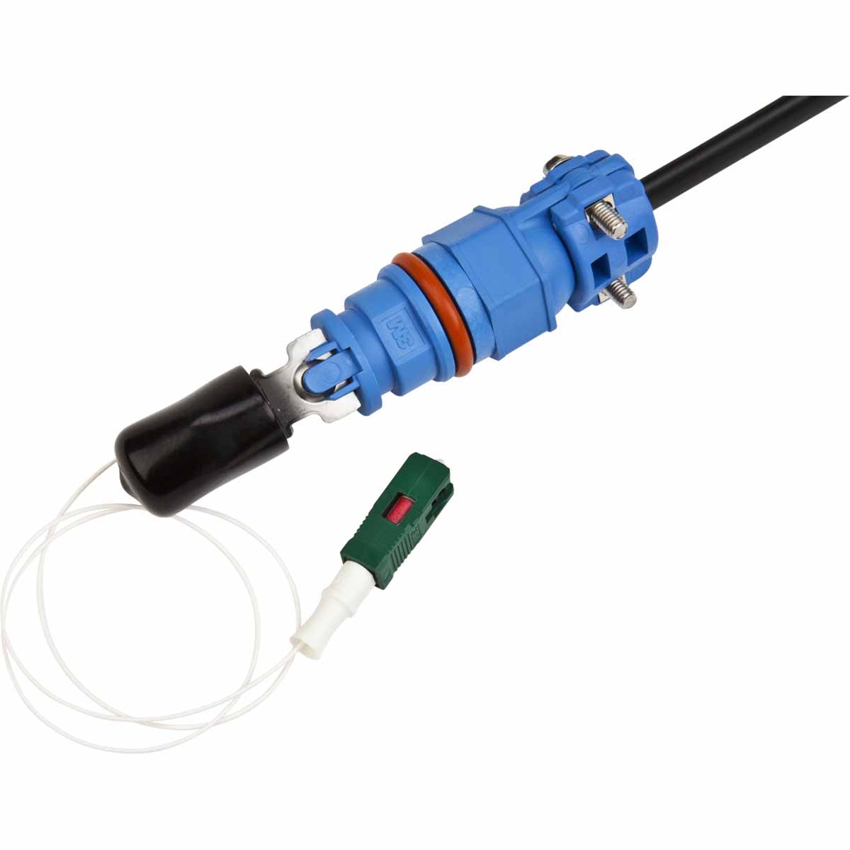 ECAM complet double 4-27mm pour dôme F12S (980795)